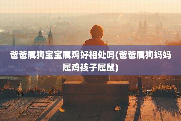 爸爸属狗宝宝属鸡好相处吗(爸爸属狗妈妈属鸡孩子属鼠)