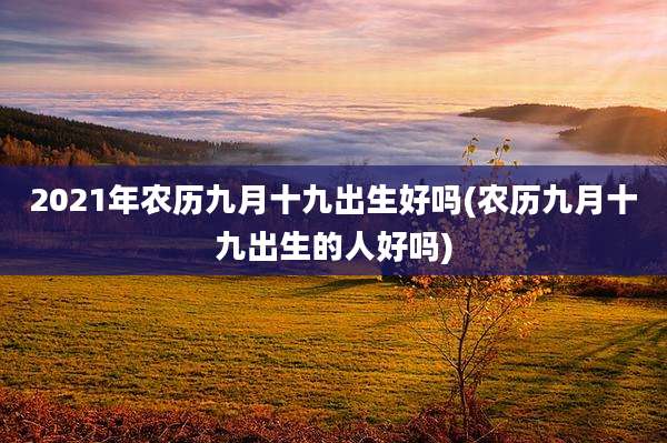 2021年农历九月十九出生好吗(农历九月十九出生的人好吗)
