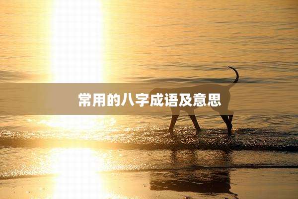 常用的八字成语及意思
