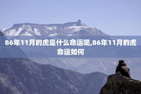 86年11月的虎是什么命运呢,86年11月的虎命运如何