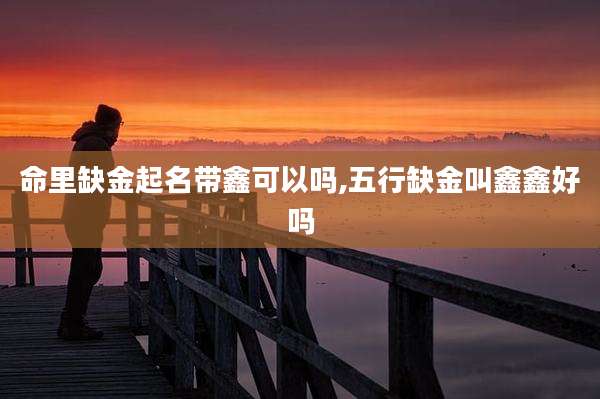 命里缺金起名带鑫可以吗,五行缺金叫鑫鑫好吗