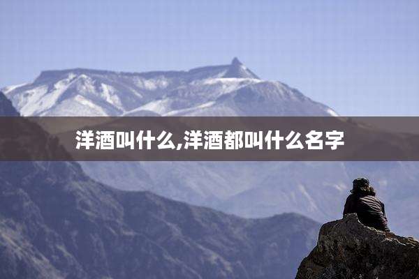 洋酒叫什么,洋酒都叫什么名字