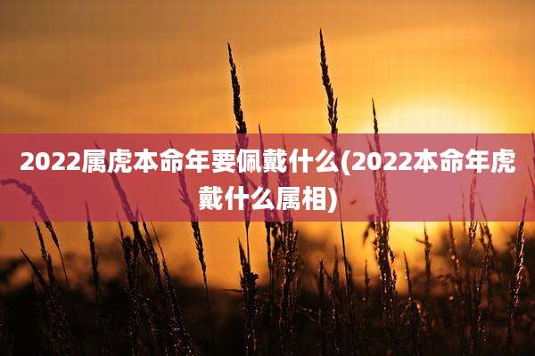 2022属虎本命年要佩戴什么(2022本命年虎戴什么属相)