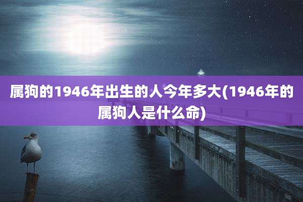属狗的1946年出生的人今年多大(1946年的属狗人是什么命)