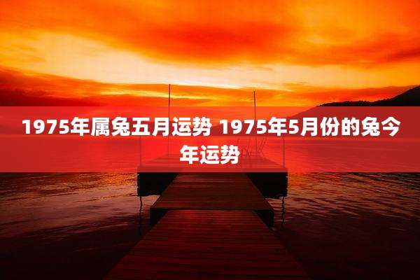 1975年属兔五月运势 1975年5月份的兔今年运势