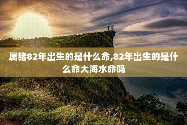 属猪82年出生的是什么命,82年出生的是什么命大海水命吗