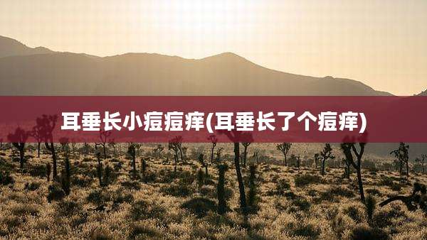 耳垂长小痘痘痒(耳垂长了个痘痒)
