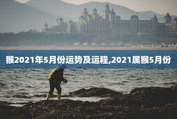猴2021年5月份运势及运程,2021属猴5月份