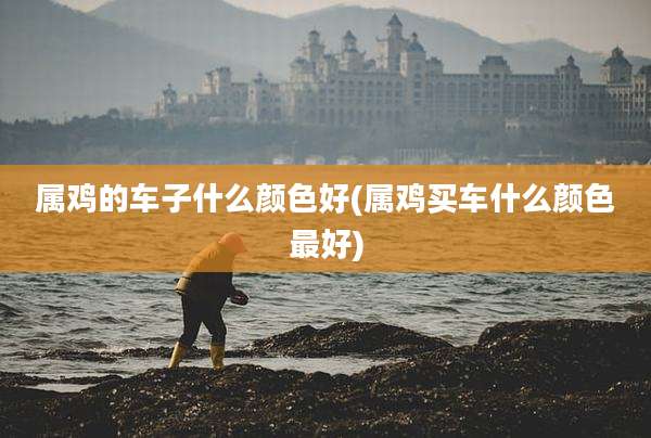 属鸡的车子什么颜色好(属鸡买车什么颜色最好)