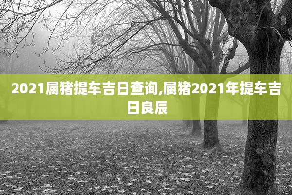 2021属猪提车吉日查询,属猪2021年提车吉日良辰