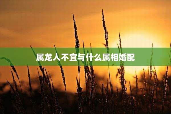 属龙人不宜与什么属相婚配