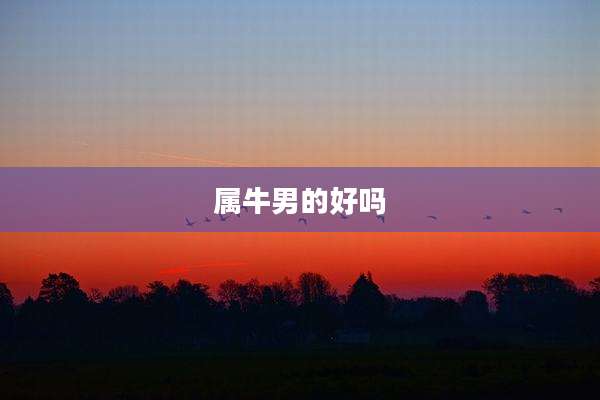 属牛男的好吗