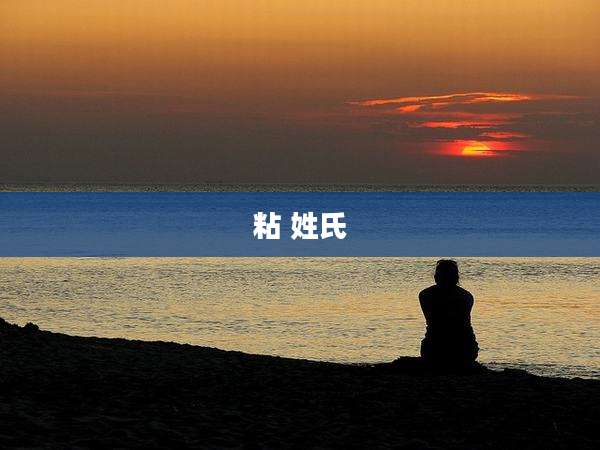 粘 姓氏