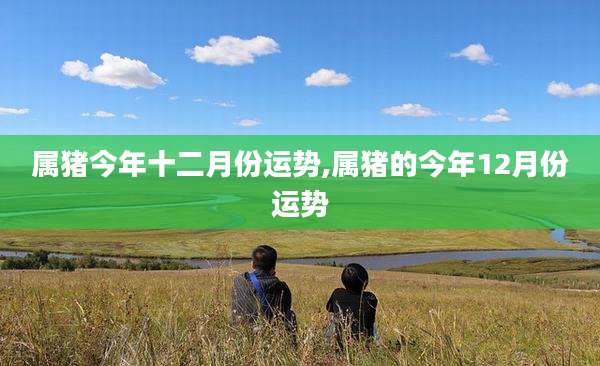 属猪今年十二月份运势,属猪的今年12月份运势