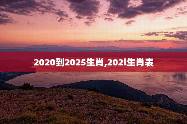 2020到2025生肖,202l生肖表