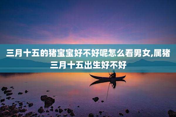 三月十五的猪宝宝好不好呢怎么看男女,属猪三月十五出生好不好