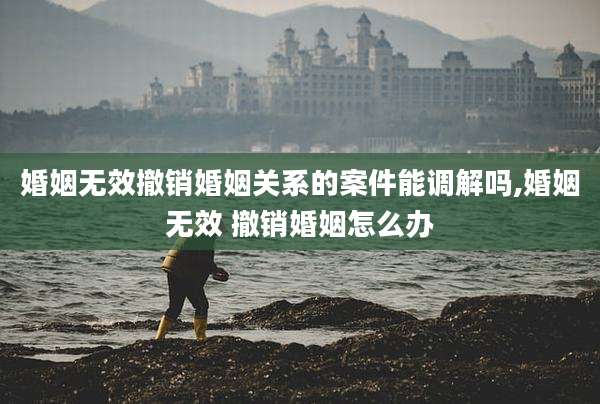 婚姻无效撤销婚姻关系的案件能调解吗,婚姻无效 撤销婚姻怎么办