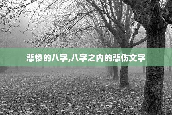 悲惨的八字,八字之内的悲伤文字