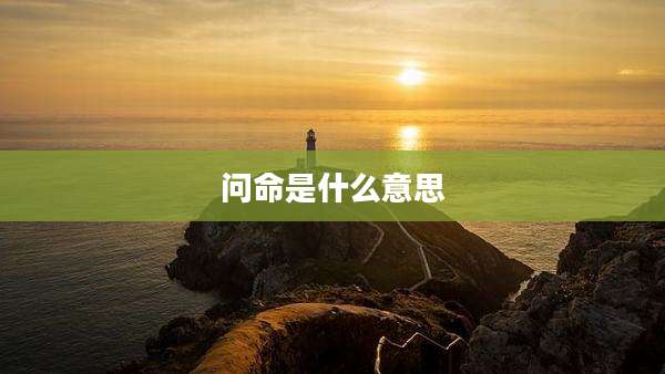 问命是什么意思