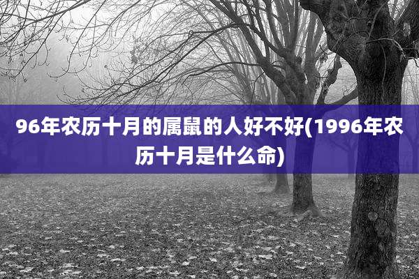 96年农历十月的属鼠的人好不好(1996年农历十月是什么命)
