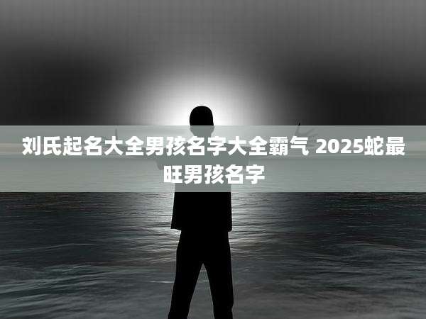 刘氏起名大全男孩名字大全霸气 2025蛇最旺男孩名字