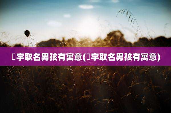 偲字取名男孩有寓意(洠字取名男孩有寓意)