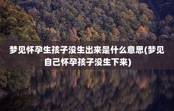 梦见怀孕生孩子没生出来是什么意思(梦见自己怀孕孩子没生下来)
