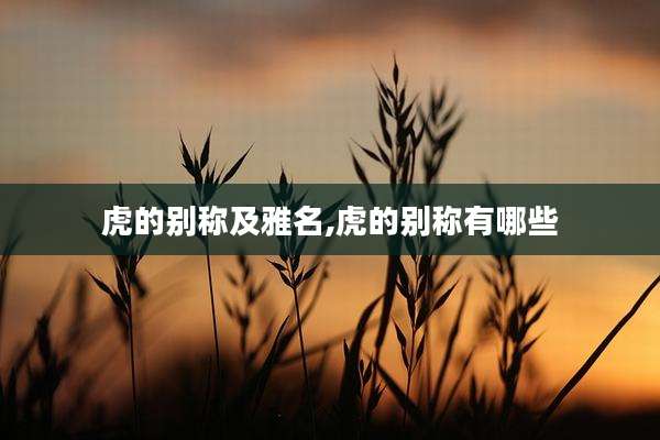 虎的别称及雅名,虎的别称有哪些