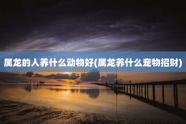 属龙的人养什么动物好(属龙养什么宠物招财)