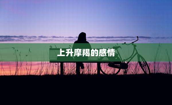 上升摩羯的感情