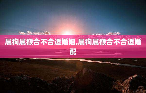 属狗属猴合不合适婚姻,属狗属猴合不合适婚配