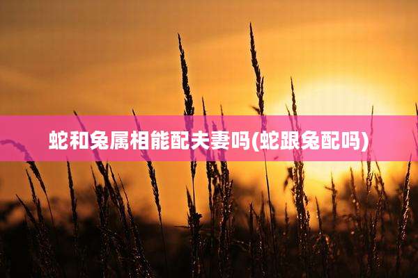 蛇和兔属相能配夫妻吗(蛇跟兔配吗)