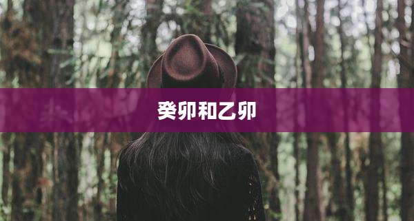 癸卯和乙卯