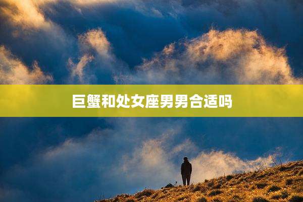 巨蟹和处女座男男合适吗