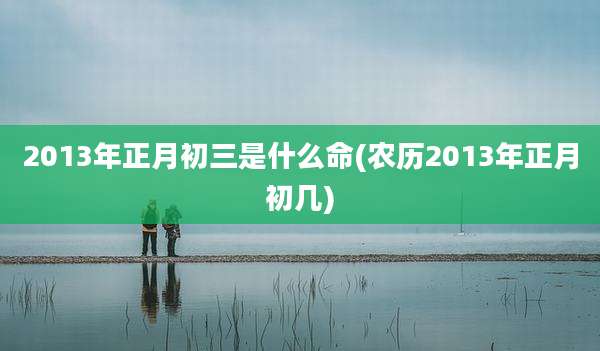 2013年正月初三是什么命(农历2013年正月初几)