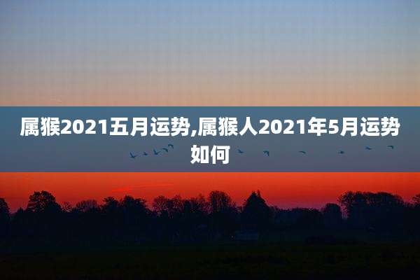属猴2021五月运势,属猴人2021年5月运势如何