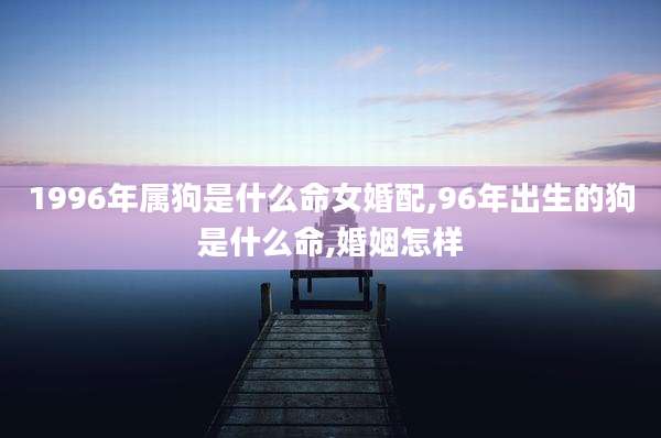 1996年属狗是什么命女婚配,96年出生的狗是什么命,婚姻怎样