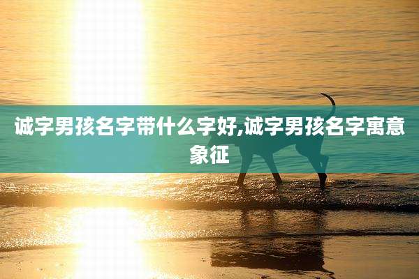 诚字男孩名字带什么字好,诚字男孩名字寓意象征