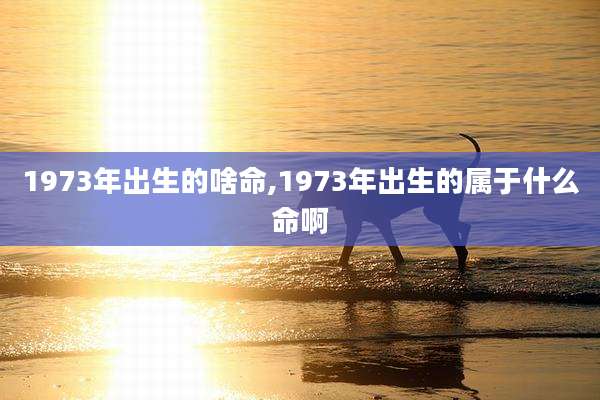 1973年出生的啥命,1973年出生的属于什么命啊