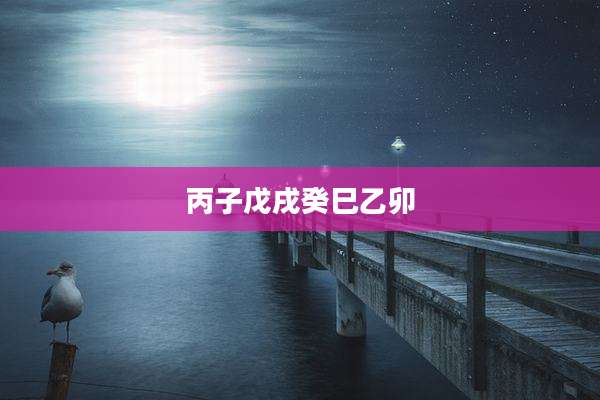 丙子戊戌癸巳乙卯
