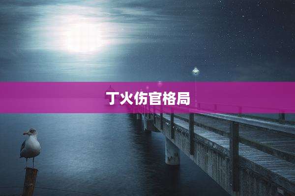 丁火伤官格局