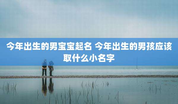 今年出生的男宝宝起名 今年出生的男孩应该取什么小名字