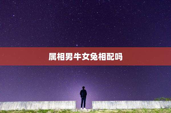 属相男牛女兔相配吗