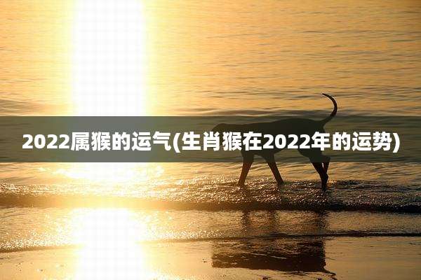 2022属猴的运气(生肖猴在2022年的运势)