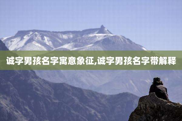 诚字男孩名字寓意象征,诚字男孩名字带解释