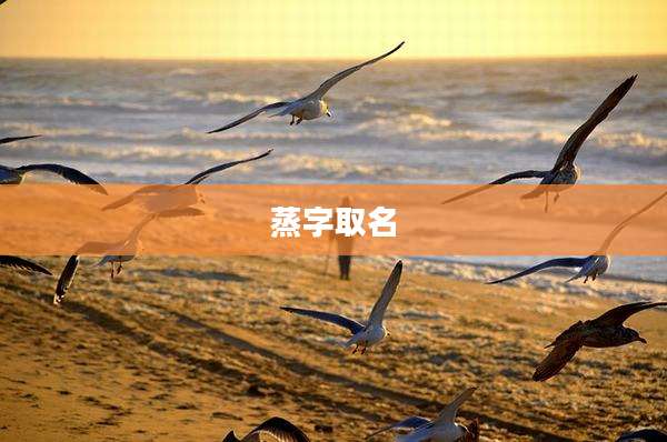 蒸字取名