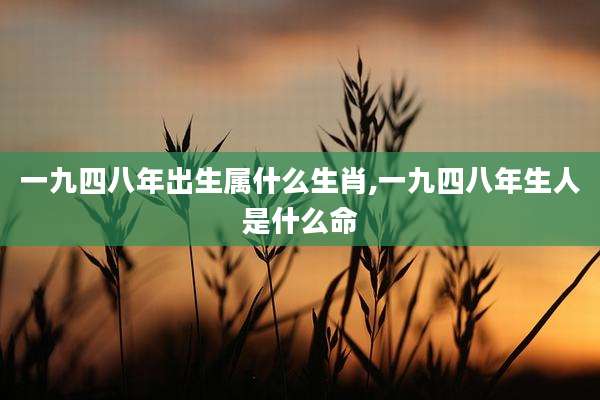 一九四八年出生属什么生肖,一九四八年生人是什么命