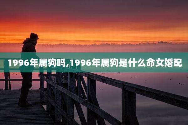 1996年属狗吗,1996年属狗是什么命女婚配