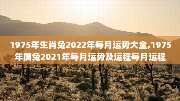 1975年生肖兔2022年每月运势大全,1975年属兔2021年每月运势及运程每月运程