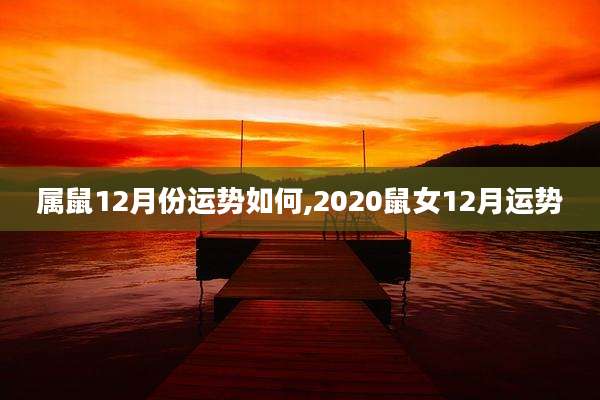 属鼠12月份运势如何,2020鼠女12月运势